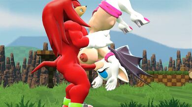 Rogue and Knuckles: Special Activity - Lewd Gear