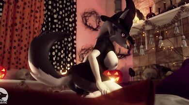 Furry compilation HMV PMV