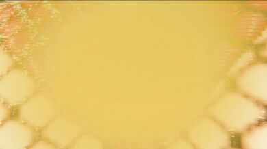 Denise and Pako: Netflix & Smells - A Shark in the Bedroom