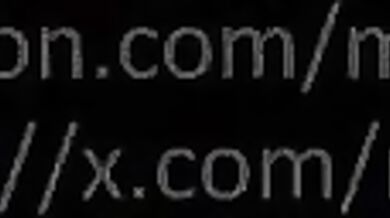 Riding the Burning Stallion: A Hounds Best Friend