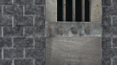 The Queen Bee Reigns Supreme as She Takes on a Swarm of Hungry Insects