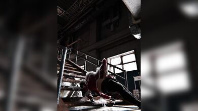 Jill Valentine and Chris Redfield in Resident Evil: The Final Chapter 3D