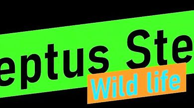 Write a one-liner joke about your name or username