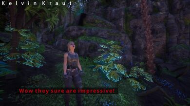 Intro to the Rare Specimen: An Anal Expedition