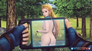 The Legend of Zelda: Breath of the Wild 2: The Awakening