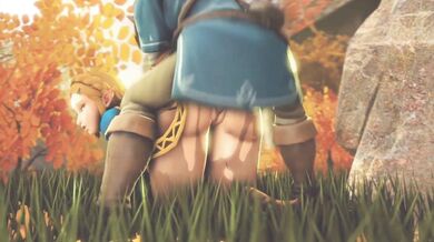 The Legend of Zelda: Breath of the Wild 2: The Awakening