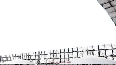 Daddy Long Donut: A Song of NTR and Donut Holes