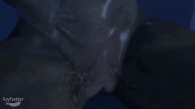 Halo Human and Elite by keyfeather