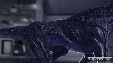 Watch how Tali Varren goes through a series of sexual experiments with her partner in this hot porn video!