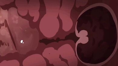 Nicoles Juicy Pussy Filled With Heavenly Delight