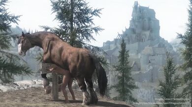 Watch as the hot horse fucks the sexy cameraman in this hardcore porn video!