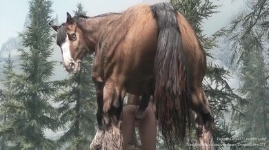 Watch as the hot horse fucks the sexy cameraman in this hardcore porn video!