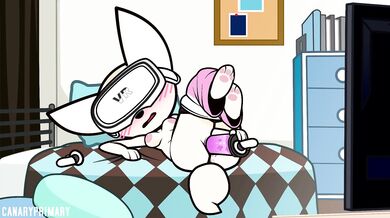 The Canarys Fennec Fox Stress Relief Method