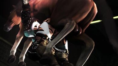 The Equestrian Adventures of 152