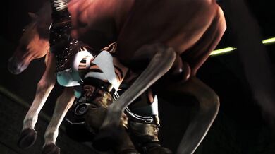 The Equestrian Adventures of 152