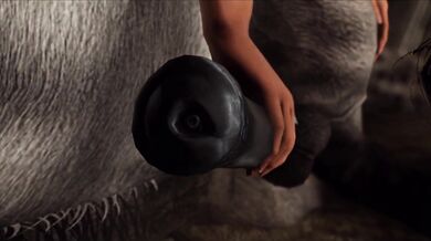 Watch as these sexy babes mount their horses and ride with passion, making them stiffen up like steel rods!