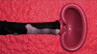 Black Widow Pile Driver With A Horse 4K HD [DicesFM]