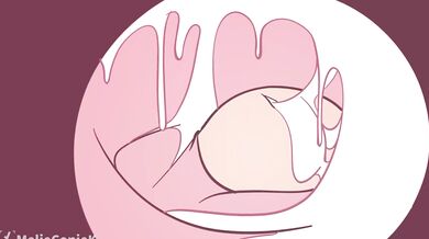 A Tale of Two Lesbian Sisters: Jeckie and Janna (with Big Tits)!