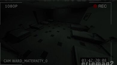 Trailer II: Maternity