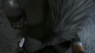 Wicked Wolf Fucks Hot Fox in Animation Hourse