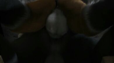 Wicked Wolf Fucks Hot Fox in Animation Hourse