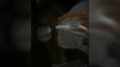 Wicked Wolf Fucks Hot Fox in Animation Hourse