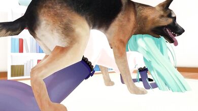 ---------------------------