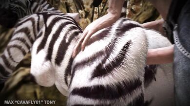 Hentai Porn Savannah Exploration - Wild Bush Safari Adventure (WARNING: Graphic Content)