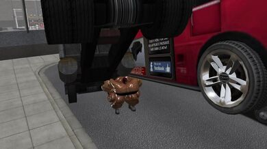 The Incredible Shrinking Woman (Part 9): Downsizing Dilemma