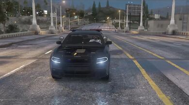 Youre a beautiful and talented gardener, Lily How did you get started in this field?