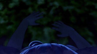 Little and Lovely: The Tale of a Mighty Panda