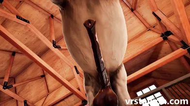 Sexual Desires: POV Stallion Throat-fuck in Virtual Reality World