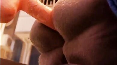 Snips and Judys Furry Adventure