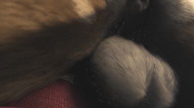 Lady Santa Holiday Special H0rs3