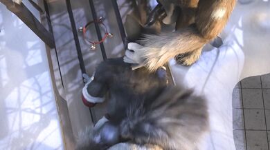 Lady Santa Holiday Special H0rs3