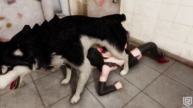 All Dogs Cum to 7th Heaven