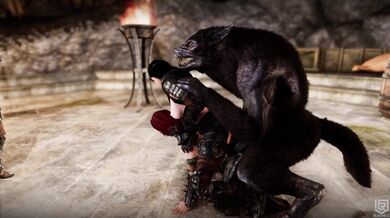 Want to watch hot and steamy sex between two sexy partners? Look no further than What We Do in The Companions