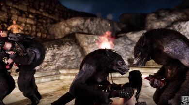 Want to watch hot and steamy sex between two sexy partners? Look no further than What We Do in The Companions