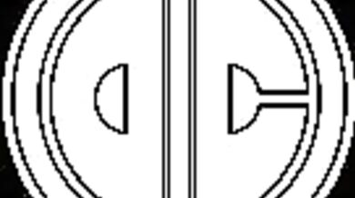 Into the Cage: The Trap of Lust