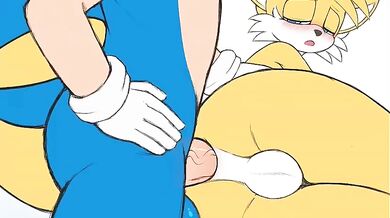 Sonic and Tails: The Erotic Adventure