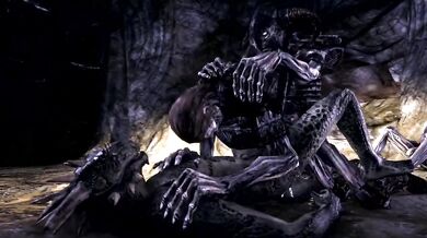 The Argonian Thief - A Hidden Treasure (feat Kas Kas)