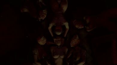 Enter your answer here: Haunted Forest - Halloween Night