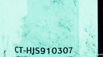 Unleashing the D-Virus 1080p | 60fps | Spanish Subs