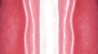 Inside the Maw of the Wilderness, a Young Adventurer is Swallowed Whole by a Giant Tentacle and Consumed in a Frenzy of Squirming Pleasure!