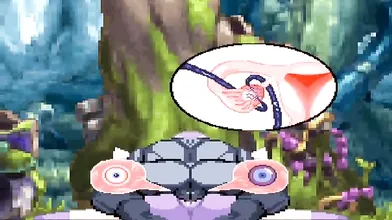 Into Meinshaos Womb and Ovaries, Kuromaru Breached!