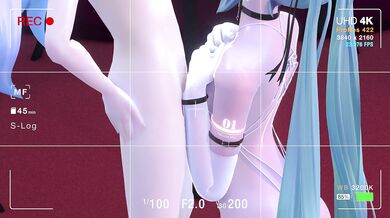 Miku Hatsune gets her hands on a YYB style sex toy, and discovers the second paragraph of Birth is more pleasurable than she ever imagined