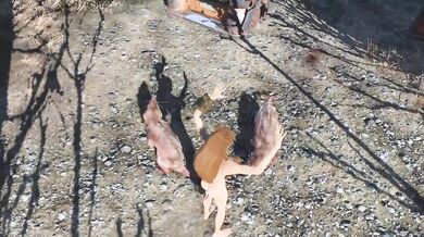 Saved by the Raider! But how will Molly pay him back?