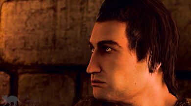 ------------------------------