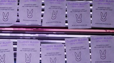 'Blacked and Clubbed - The Hentai Adventures of Bunny'