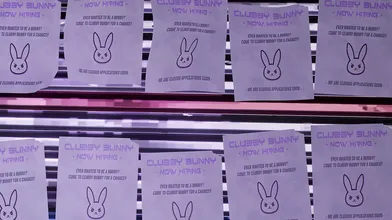 'Blacked and Clubbed - The Hentai Adventures of Bunny'